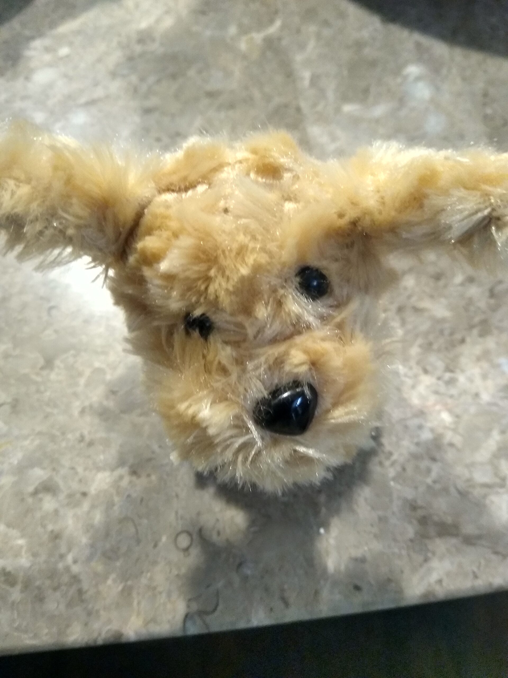 4" Stuffed Labradoodle